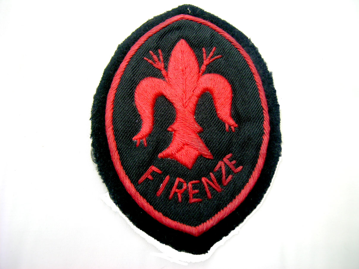 イタリア軍 MSVN (Brigata) Firenze 肘章 (価格を見直しました)