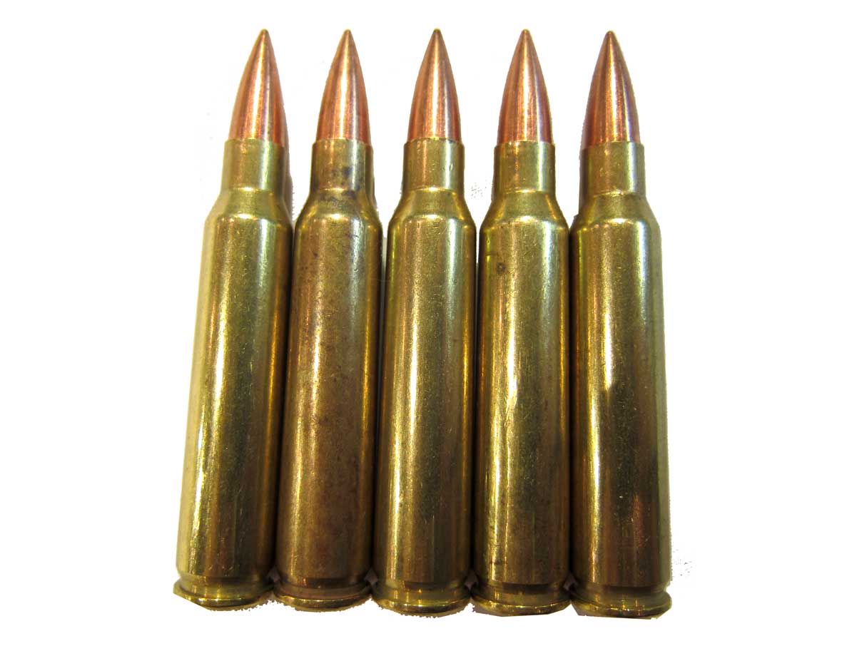5,56mm×45 (.223) ダミーカート 5発 セット