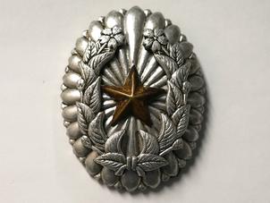 陸軍尉官隊長章