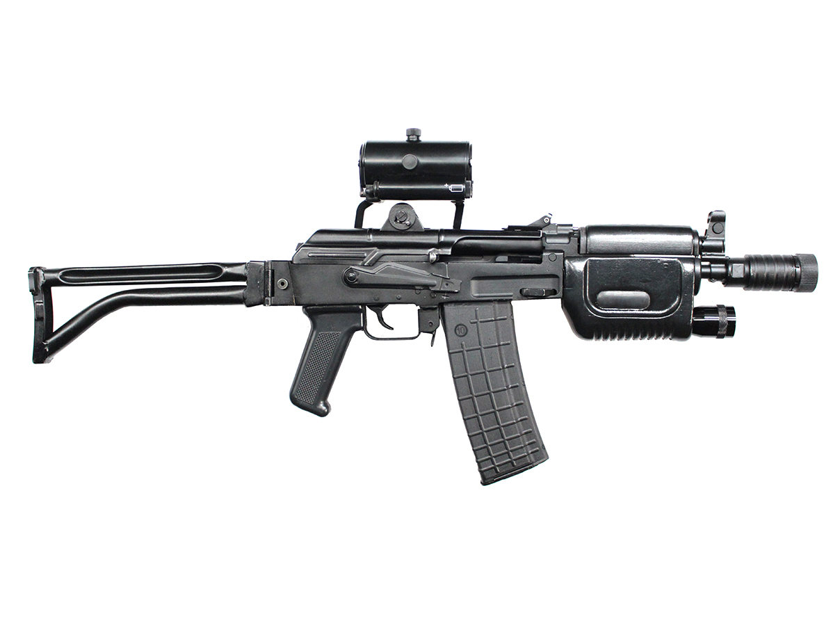 ブルガリア AR-M4SF 自動小銃 (#426933)