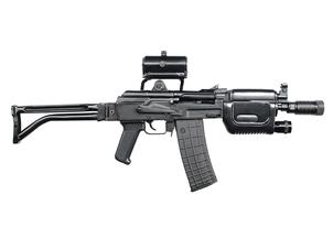ブルガリア AR-M4SF 自動小銃 (#426933)